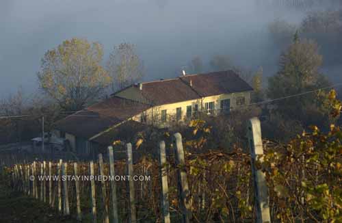 view of the house from the vineyards