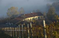 View of house from above Barbera vineyard